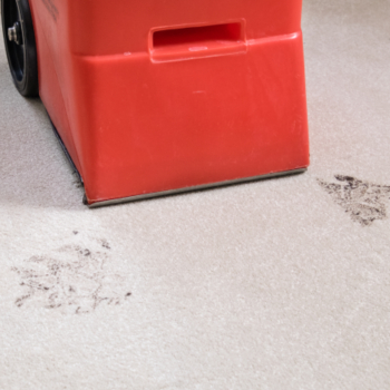 Doncaster carpet cleaners